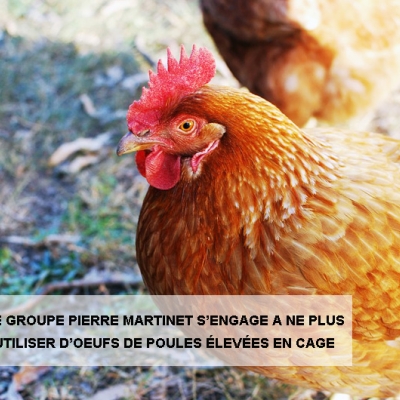 Le Groupe Pierre Martinet s’engage en faveur du bien-être animal